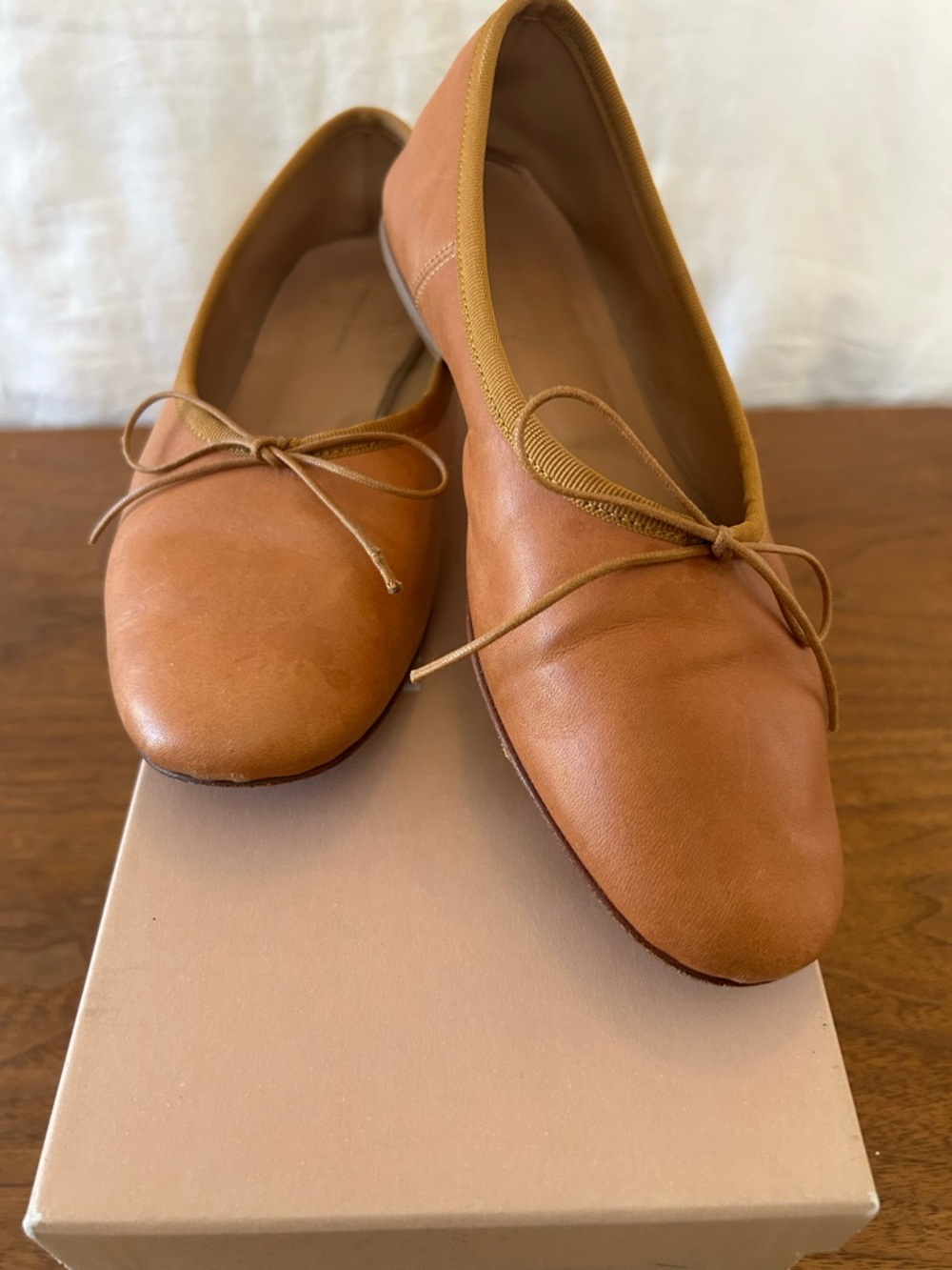 Mansur Gavriel Dream Ballerina Flats
